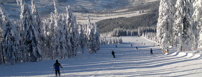 Skiarel Rokytnice nad Jizerou