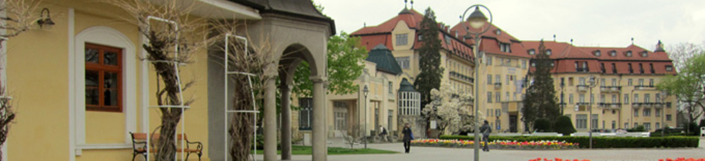 Ubytování Piešťany