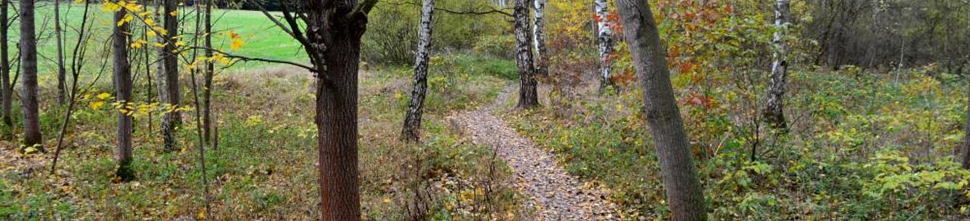 Ubytování Smrčina