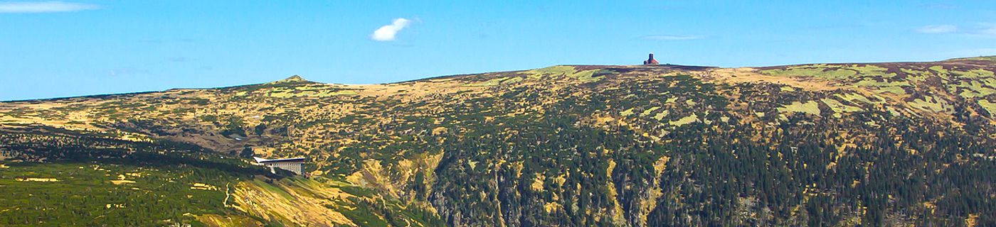 Ubytov�n� Mlad� Buky