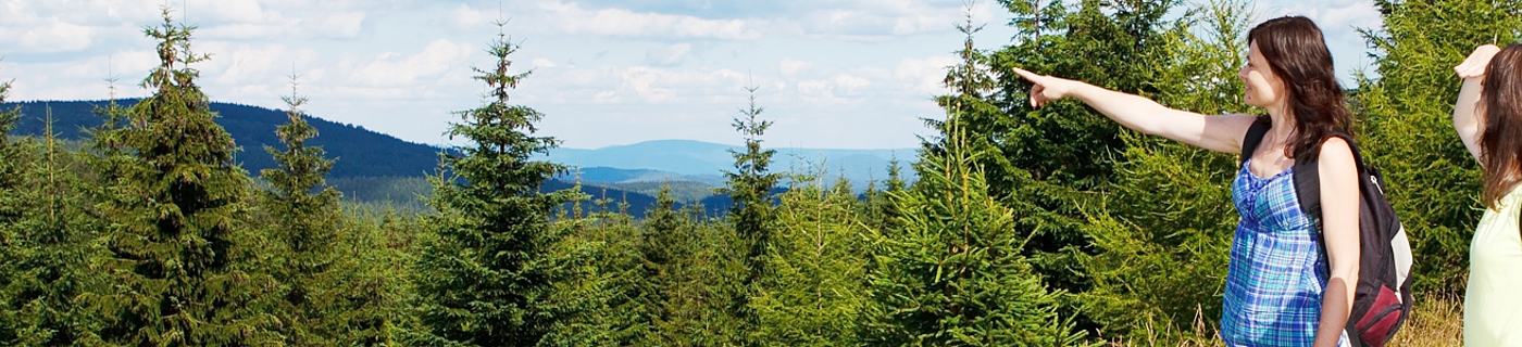 Ubytování Frymburk