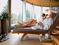 Wellness hotel HORAL **** ****, Velk Karlovice