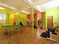 Hotel RACEK *** ***, ern v Poumav