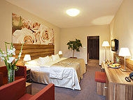 Hotel VELK FATRA **** ****, Turiansk Teplice