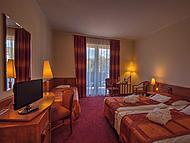 ERZSBET PARK hotel *** ***, Pardfrd